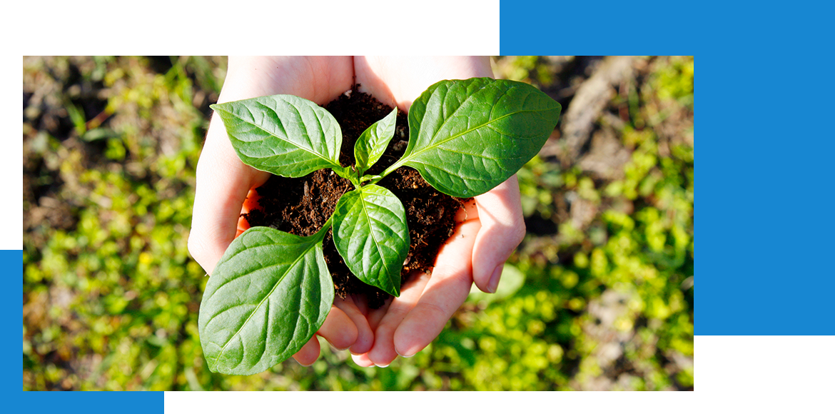  FEATURES    03  地域に根差した信頼の証